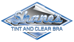 Shane's Tint & Clear Bra